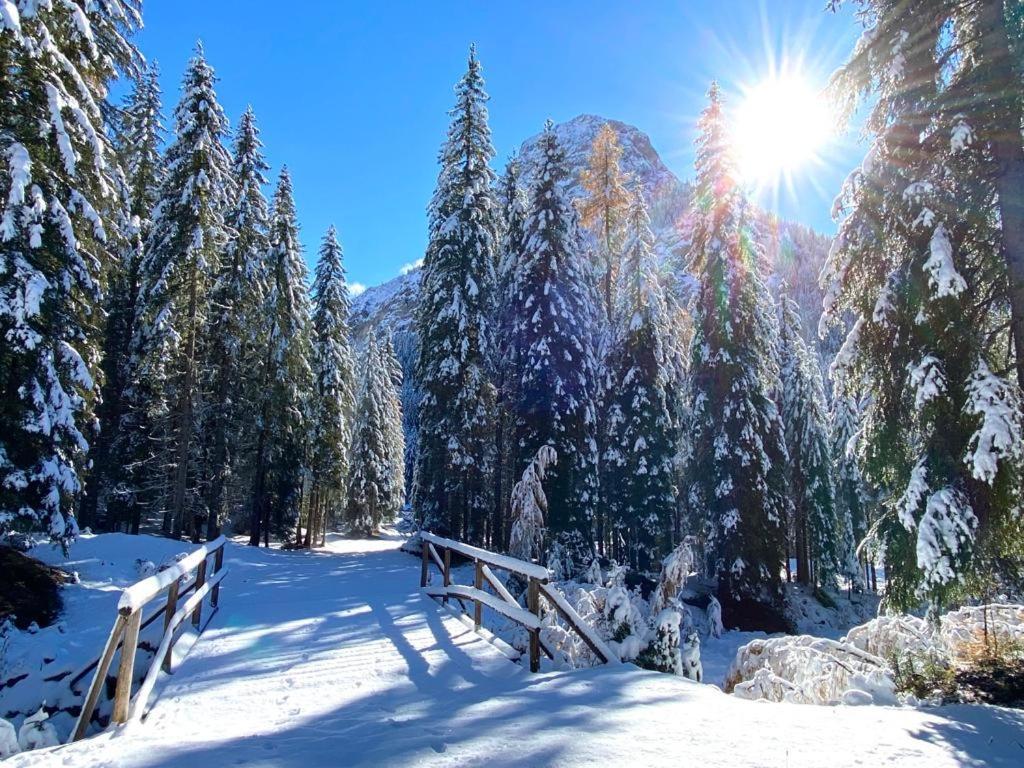 Hotel B&B Lorenzini Ski Selva di Cadore Esterno foto